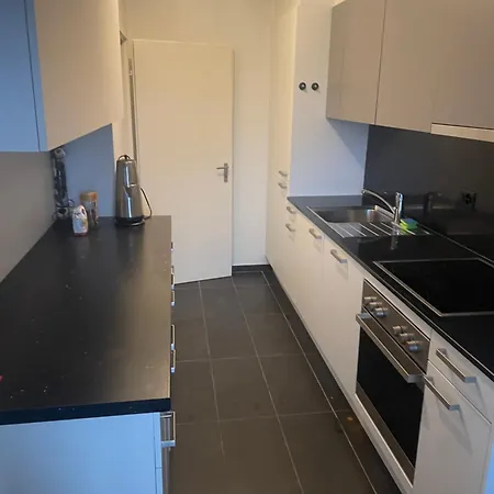 Apartment Spacieux Deux A 5min De L Aeroport Genf